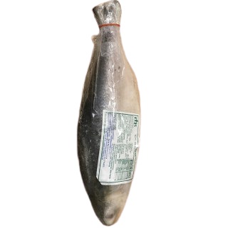 Fisk Hilsa 800-1000g 20 kg