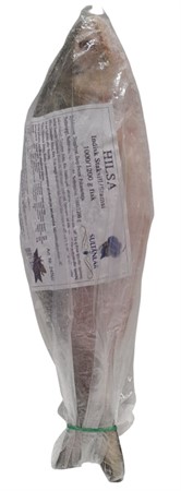 Fisk Hilsa 1000/1200g x 20 kg