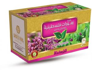 Te Alattar Zhourat Palastinian  24 x